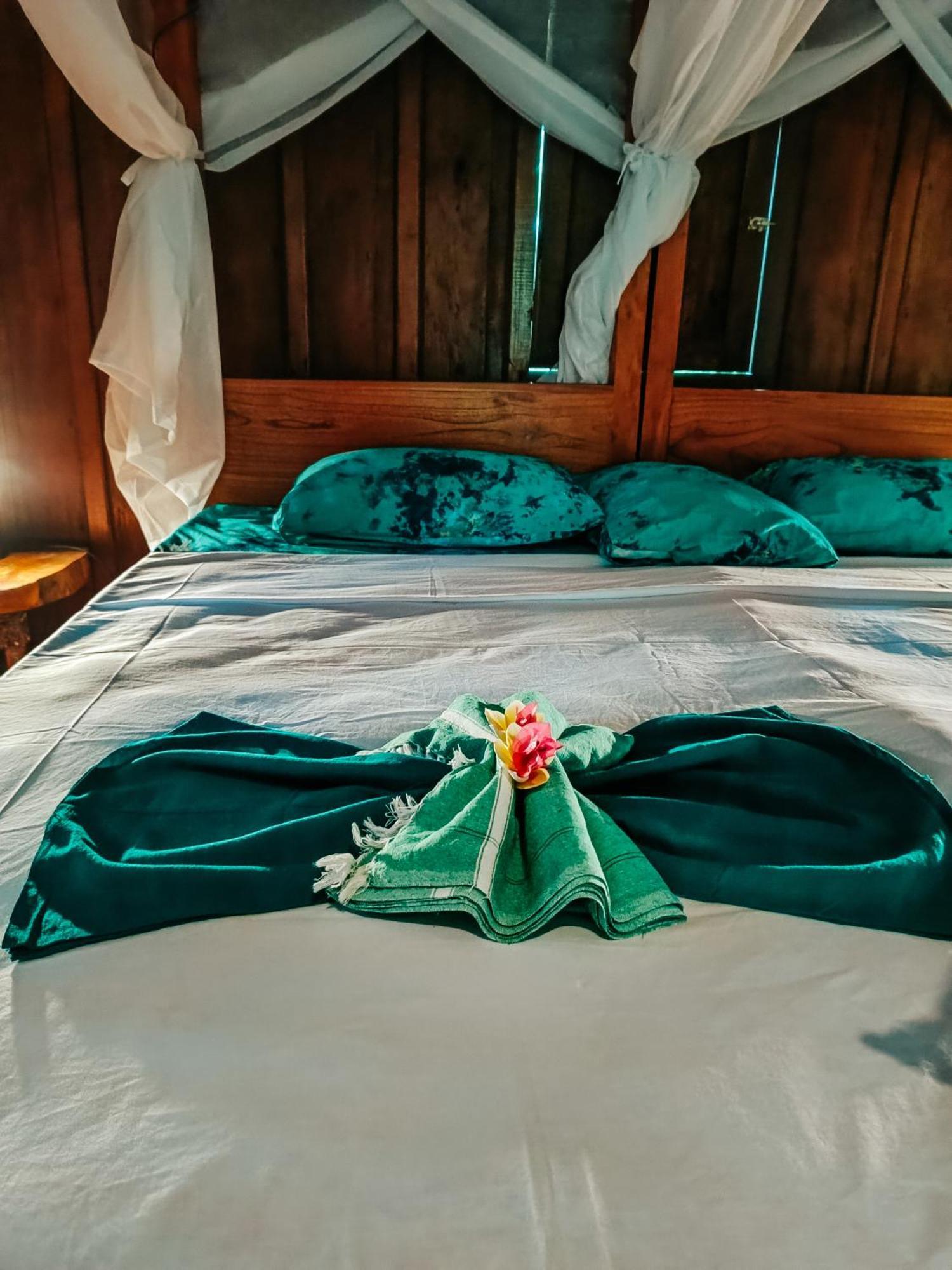 Alaya Ecolodge بيموتيران المظهر الخارجي الصورة