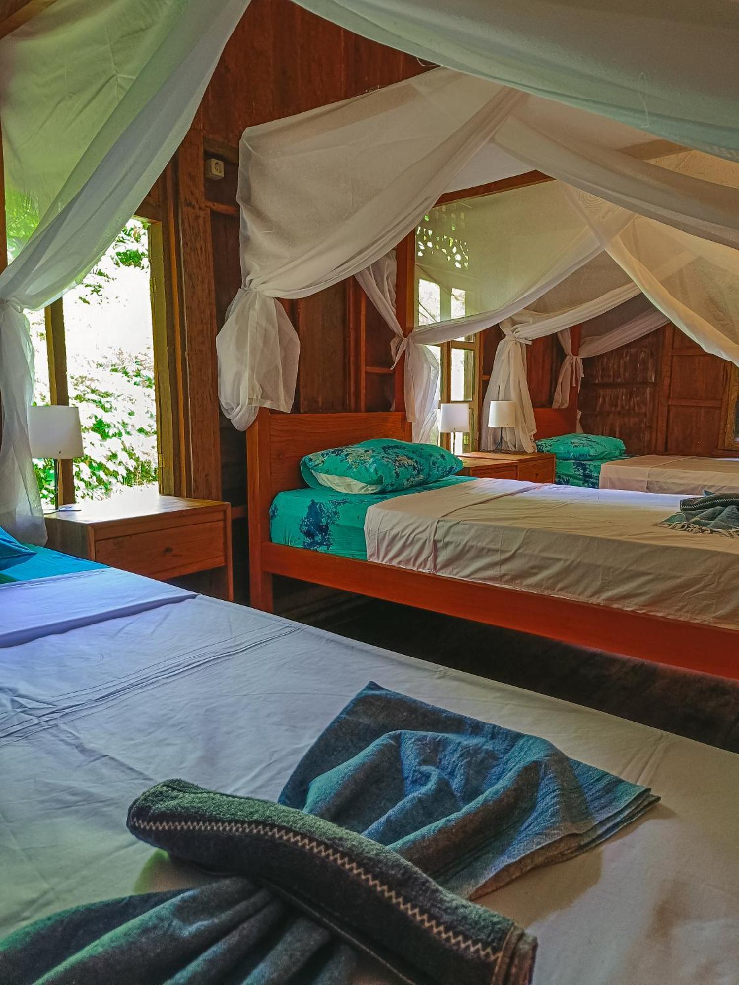 Alaya Ecolodge بيموتيران المظهر الخارجي الصورة