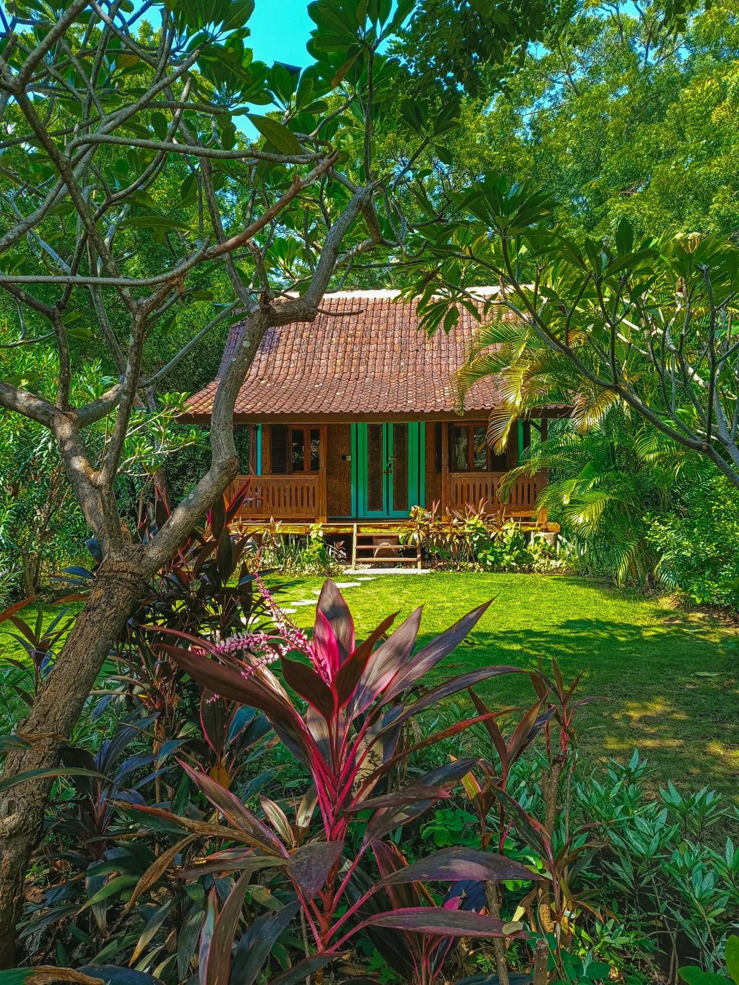 Alaya Ecolodge بيموتيران المظهر الخارجي الصورة