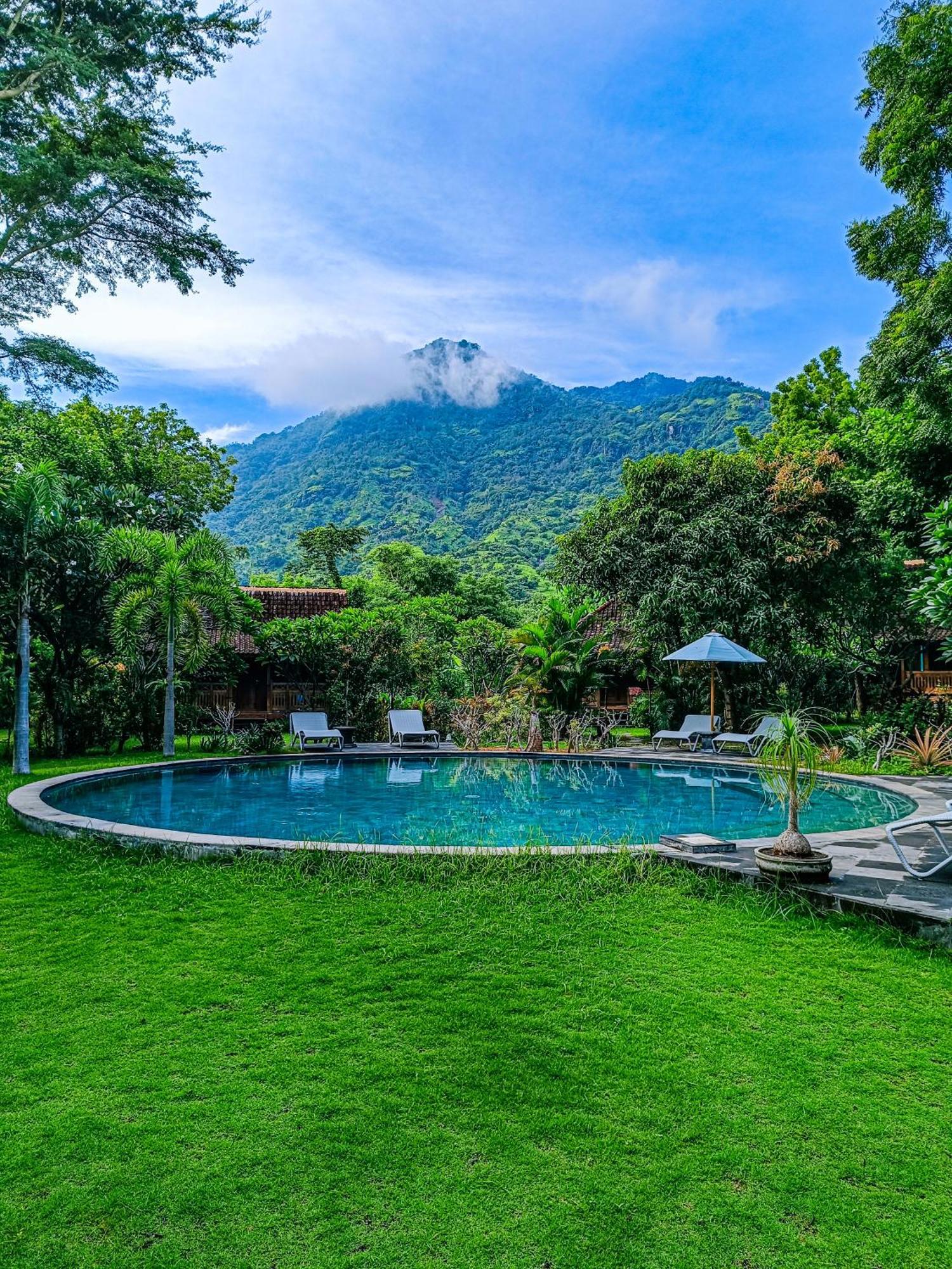 Alaya Ecolodge بيموتيران المظهر الخارجي الصورة