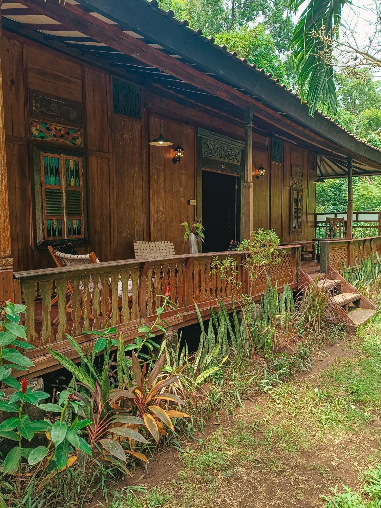 Alaya Ecolodge بيموتيران المظهر الخارجي الصورة