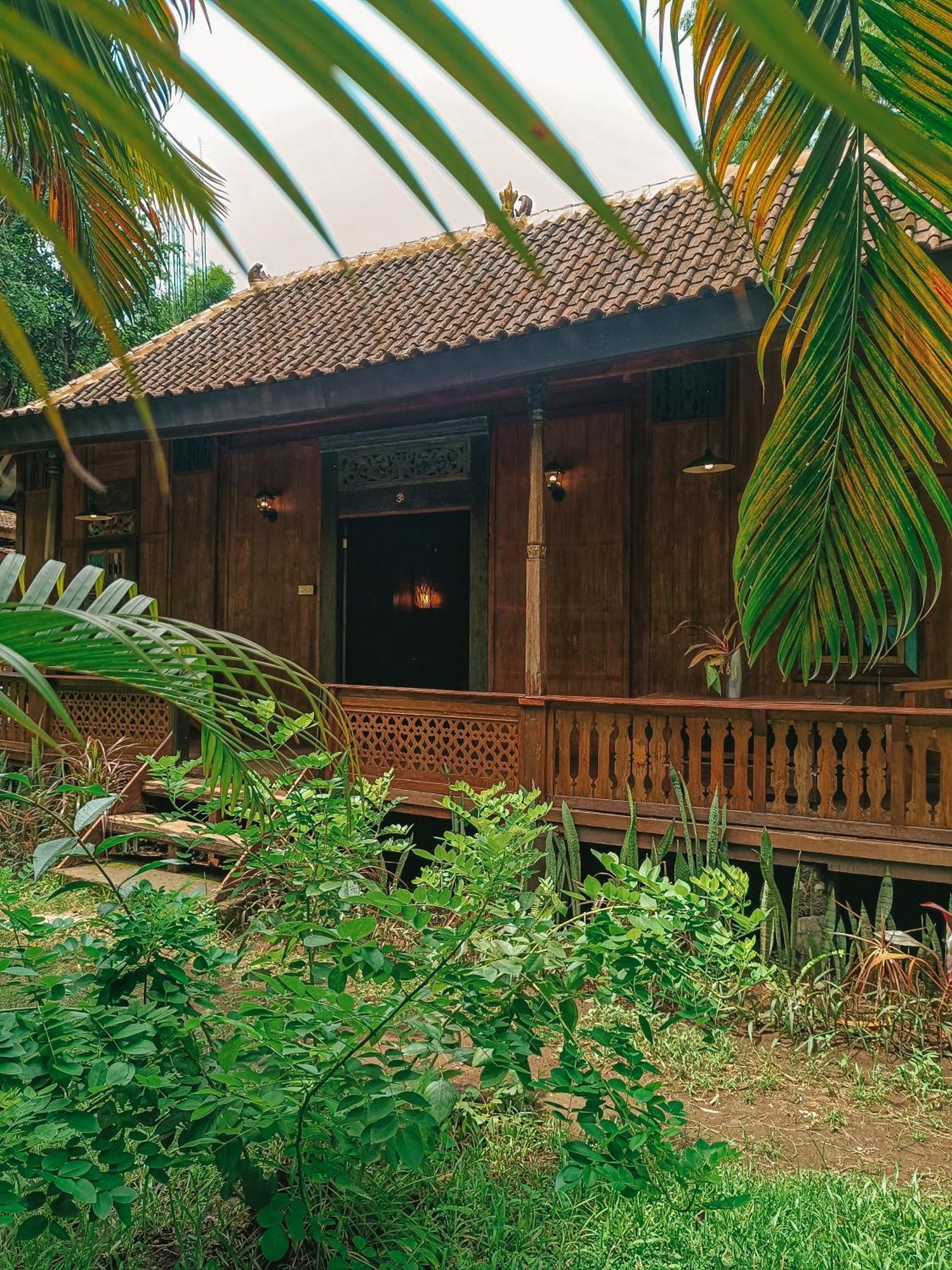 Alaya Ecolodge بيموتيران المظهر الخارجي الصورة