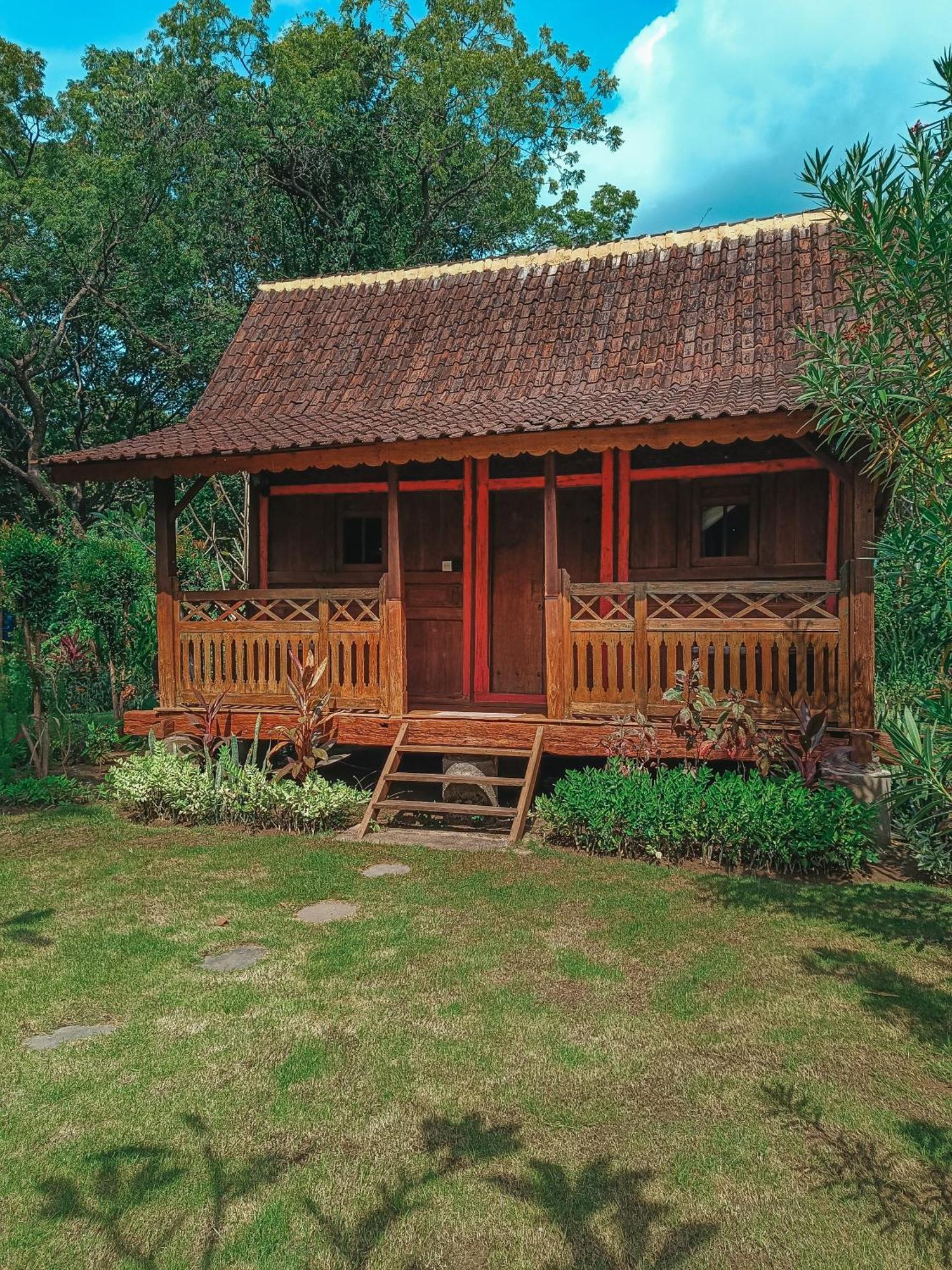 Alaya Ecolodge بيموتيران المظهر الخارجي الصورة